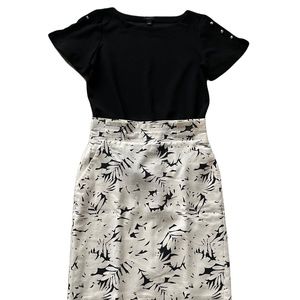 Ann Taylor Pencil Skirt, Size 4 Petite, Canvas Fabric (tops not included)